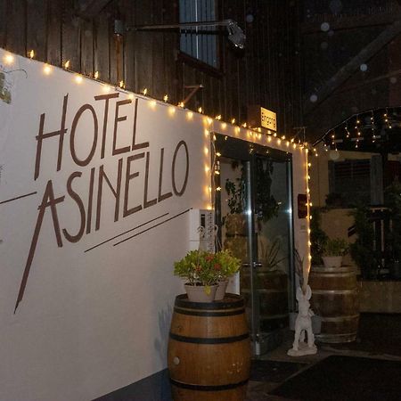 Hotel Asinello Dübendorf Екстериор снимка